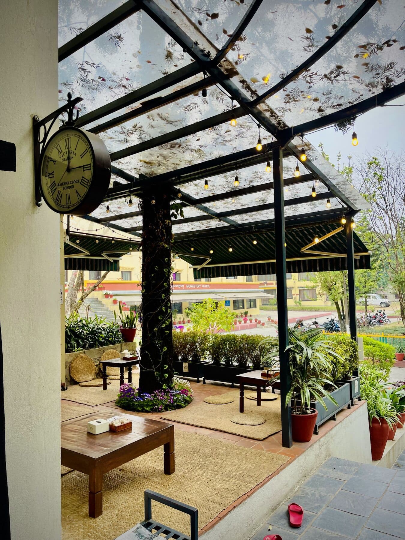 A tree grows up through the glass roof of the terrace, past a station clock
